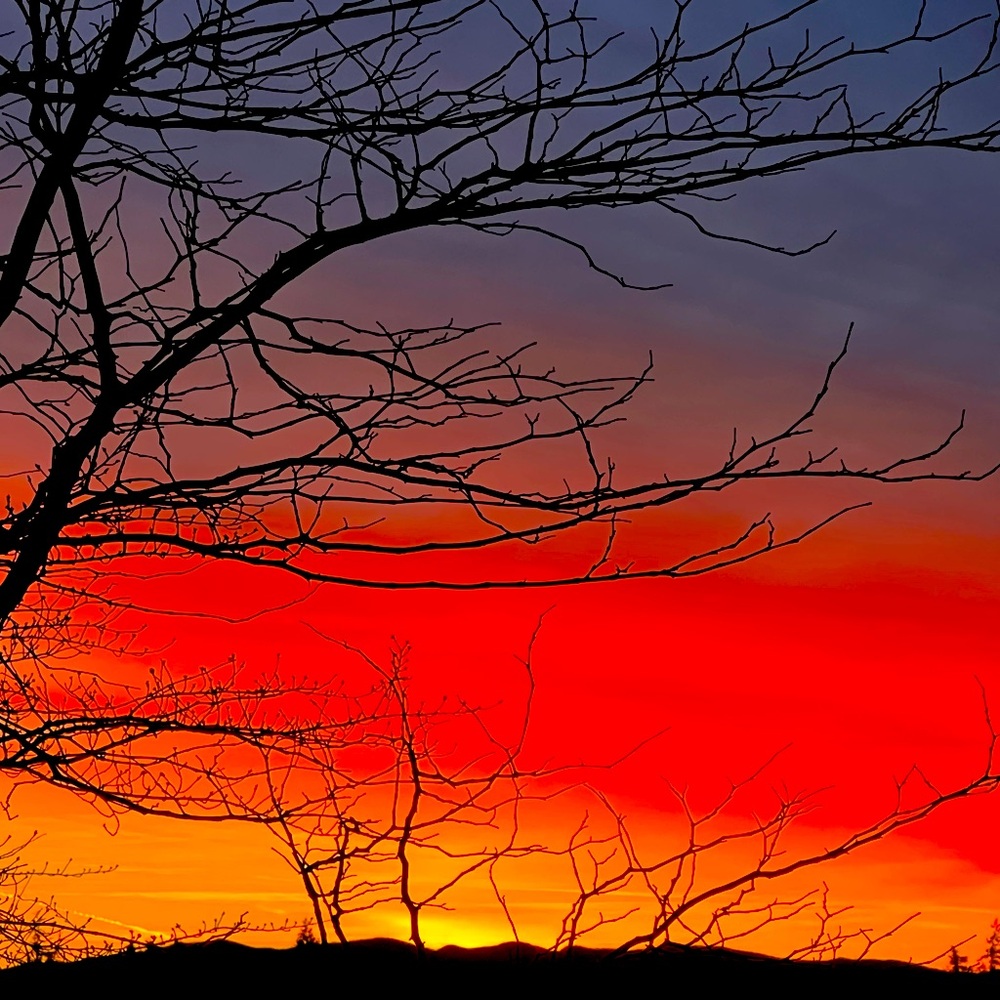 Meet your Posher, Sharae